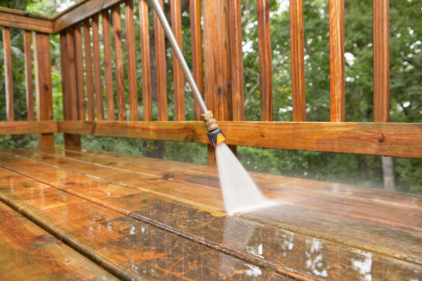 Best Local Pressure Washing Services  in Dunnavant, AL