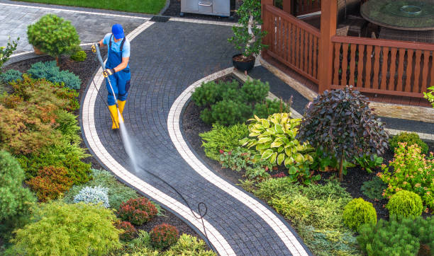 Best Roof Power Washing Services  in Dunnavant, AL